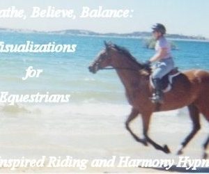 Breathe, Believe, Balance: Visualizations for Equestrians